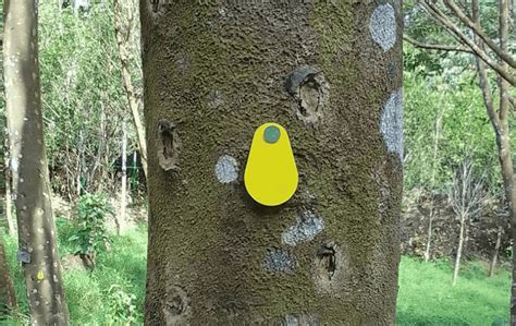 rfid tree tracking